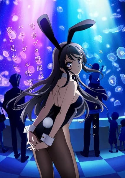 Rascal Does Not Dream of Bunny Girl Senpai anime poster — watch together with friends on Crunchyroll